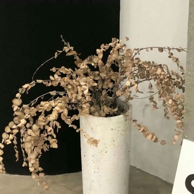 五原福瑞交流群